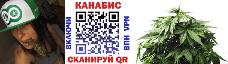 Конопля сатива  Электросталь 